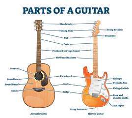 Parts of acoustic and electric guitar labeled structure vector illustration