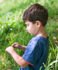 Little boy on the lawn among green grass
