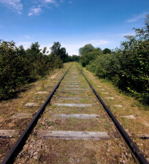 Obraz premium Abandoned railroad in forest..