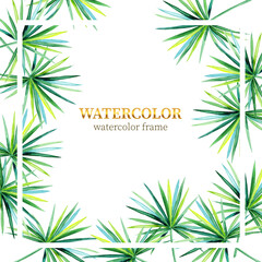 Watercolor. Decorative, frame, vegetation of tropical leaves. Creative illustration for the design of summer banners, posters, cards, invitations, labels.

