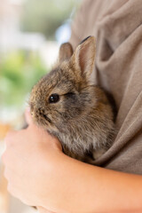 the girl with the rabbit. holding cute fluffy Bunny.Friendship with Easter Bunny. Spring photo.Close up