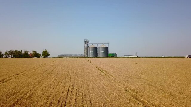 Aerial of grain elevator in front of wheat field. Quadcopter drone camera flying towards flour or oil mill plant. Silos near farmland. Agriculture theme, a harvesting season. Dolly in.