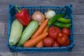 A variety of fresh vegetables, tomatoes, onions, zucchini, carrots, red and green peppers in a plastic basket on a wooden background