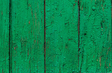 Texture of wooden boards painted in green color