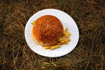 Top view of yummy fresh made burger with round crispy bun, sesame seeds, vegetables and potato fries at garden grass background, party picnic with american meal in warm colors