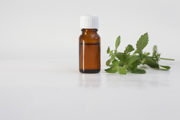 melissa essential oil container with melissa leaves and flowers isolated white