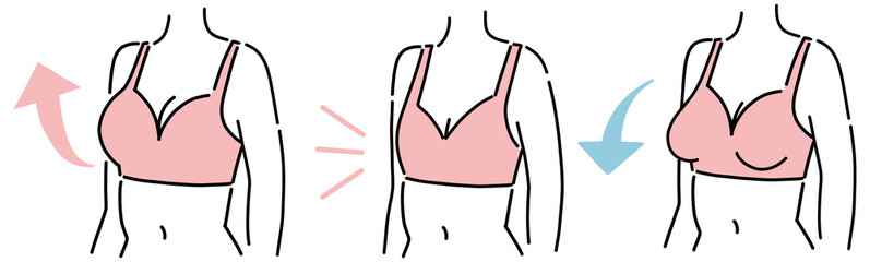 バストアップ　バストダウン　美容　女性　セット
