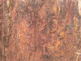 Stone texture