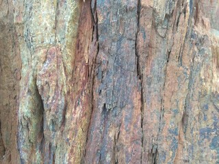 Old stone wall texture