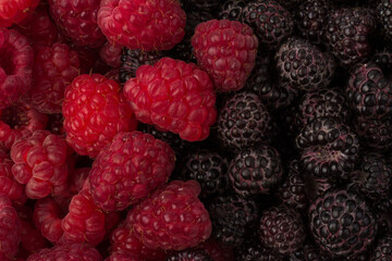 Fresh black and red raspberry isolated on white background. Berry in close-up