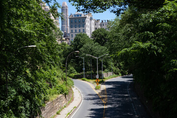 Above View of an Empty Road in Central Park with Green Trees in New York City