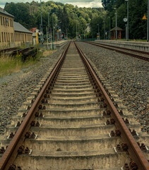 Obraz premium Wald Blumen Feld Landschaft Erzgebirge Städte Dörfer