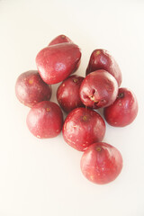 Syzygium jambos, jambo-rosa, jambo, São Paulo, Brazil