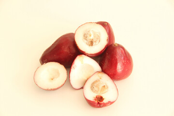 Syzygium jambos, jambo-rosa, jambo, São Paulo, Brazil