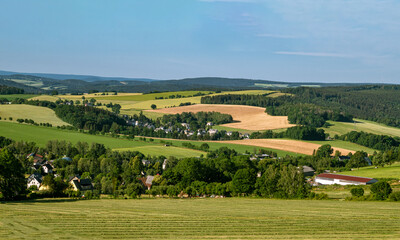 Fototapeta na wymiar Wald Blumen Feld Landschaft Erzgebirge Städte Dörfer