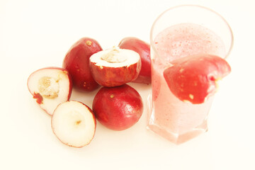 Syzygium jambos, jambo-rosa, jambo, São Paulo, Brazil