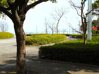 臨港パーク　神奈川県横浜市西区みなとみらいの風景