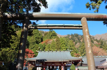 大山阿夫利神社　鳥居