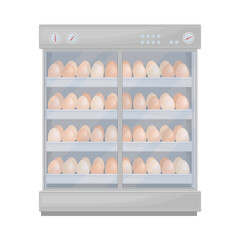 Hen Eggs Rested on Shelves in Incubator Equipment Vector Illustration