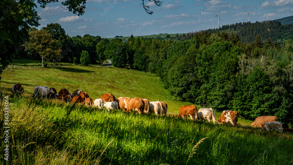 Canvas Prints Landschaft Natur 