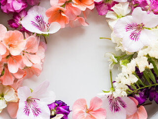 Beautiful pink and white flowers in water. Frame background