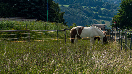 Landschaft Natur 