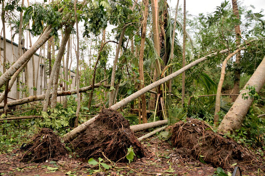 Cyclone Amphan Disaster Rampage