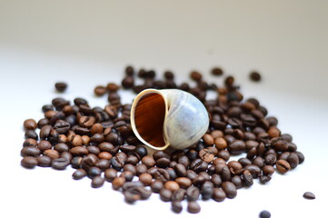 coffee beans on a wooden spoon