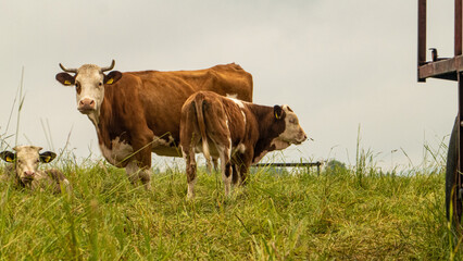 Landschaft Natur 