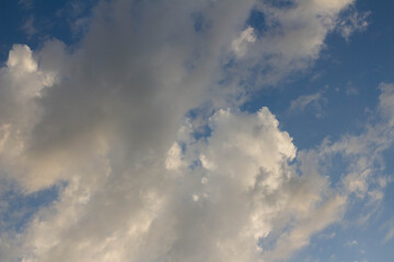 Cumulus clouds in the sky