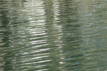 Reflection on green water surface, natural background