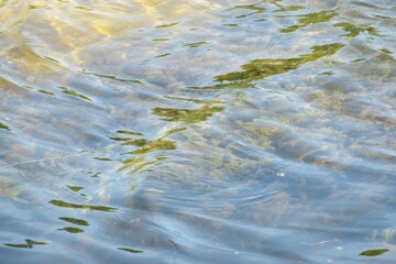 Natural rippled blue water surface texture as a background