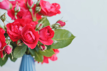 Bouquet of red roses in a blue vase on a white background, Place for text.