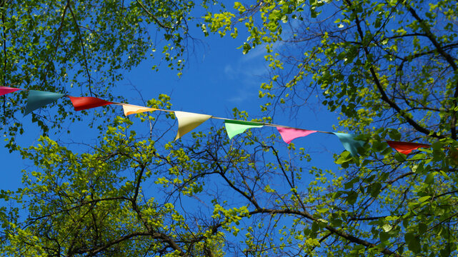 flags against threes and blue sky