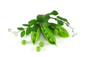 Open fresh green pea pods with leaves and tendrils isolated on white background