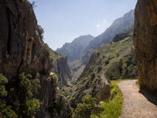 Mountain Landscape