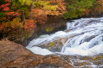 ryuzu waterfall with autumn season travel in japan