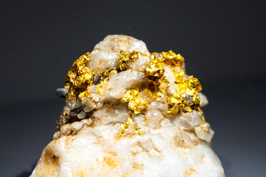 Golden nuggets in museum. Gold in nuggets.