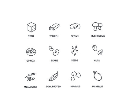 Alternative meat, meat analogues simple thin line icon set vector illustration. Tofu, seitan, tempeh, tempeh, mushrooms, quinoa, beans, seeds, nuts, mealworm, jackfruit, hummus.
