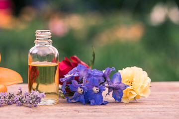 Herbal aroma oil bottle with various drugplant flowers, wooden surface, nature background in blur. Soft focus. Pure natural beauty care.