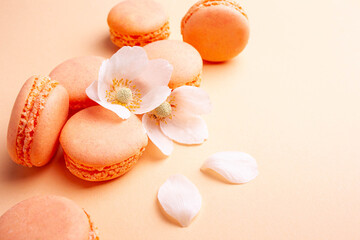 Fototapeta na wymiar Orange macaroni on a peach background. Delicious dessert