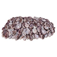 Fresh raw baby squid on white background. Sea Food.