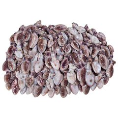 Fresh raw baby squid on white background. Sea Food.