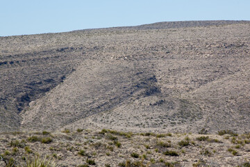 Desert landscape in the southwest  USA