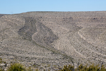 Desert landscape in the southwest  USA