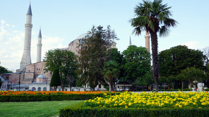 Obraz premium Hagia Sophia, Historic Temple in the center of Istanbul