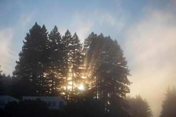 Sunrise at UC Santa Cruz