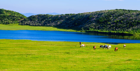 阿蘇草千里展望台から草千里ヶ浜のパノラマ風景写真 最高に美しい大自然の絶景風景 新緑・初夏 日本 A panoramic view of Kusasenrigahama from Aso Kusasenri Observatory The most beautiful scenery of nature Fresh green/early summer Japan © KOROKICHIKUN