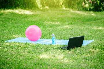 Video sport workout outdoor online on Internet. Learning training on backyard at home with laptop....