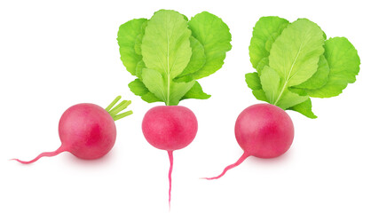Set of fresh whole and cutted radish isolated on a white background.